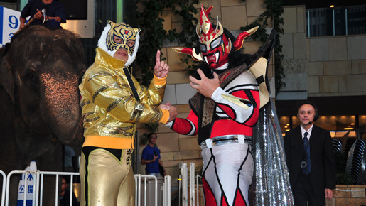 『ライフ −いのちをつなぐ物語−』“アニマル”プレミアイベント