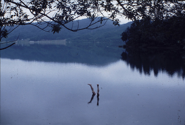 「犬神家の一族」（1976年版）(C)1976 角川映画