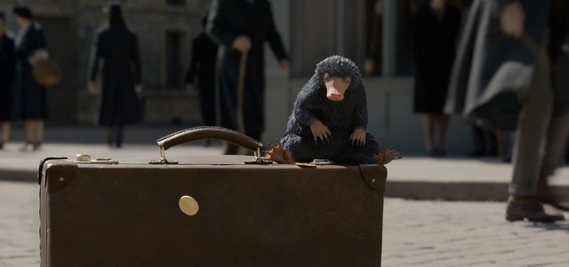 『ファンタスティック・ビーストと黒い魔法使いの誕生』(C)2018 Warner Bros. Ent. All Rights Reserved.Harry Potter and Fantastic Beasts Publishing Rights (C)J.K.Rowling