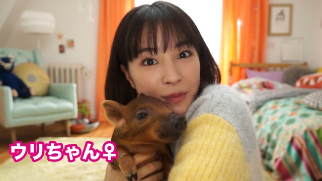 フジカラーの写真年賀状の新WEB動画「フジカラーの写真年賀状つくってみた」篇