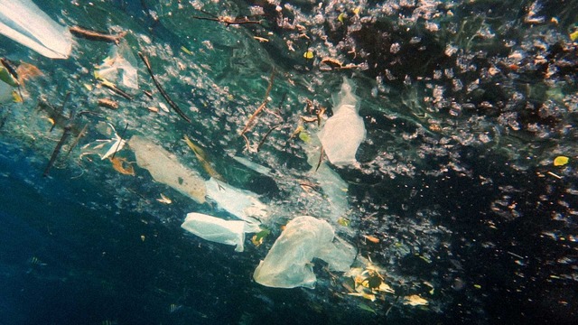 新TVCM「WE LOVE BEAUTY PLANET 始まり篇」