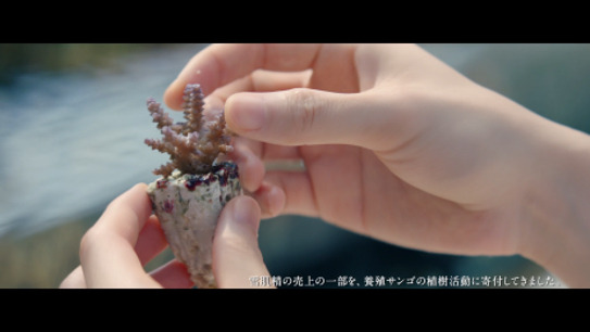 「雪肌精 僕と一緒に、SAVE the BLUE」