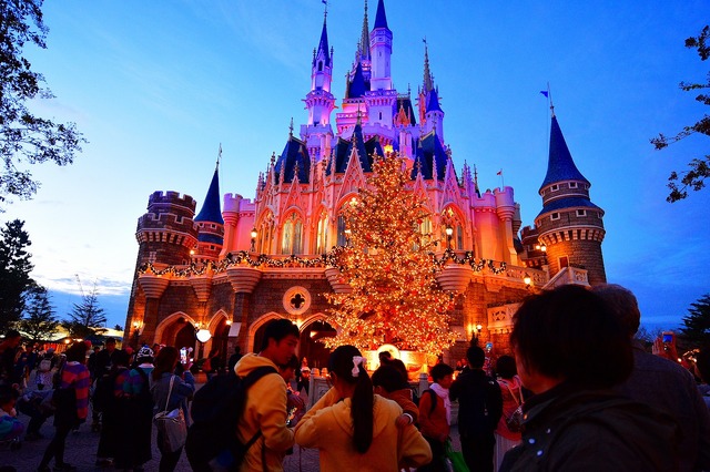 TDLで話題の生木のクリスマスツリー☆(C) Disney