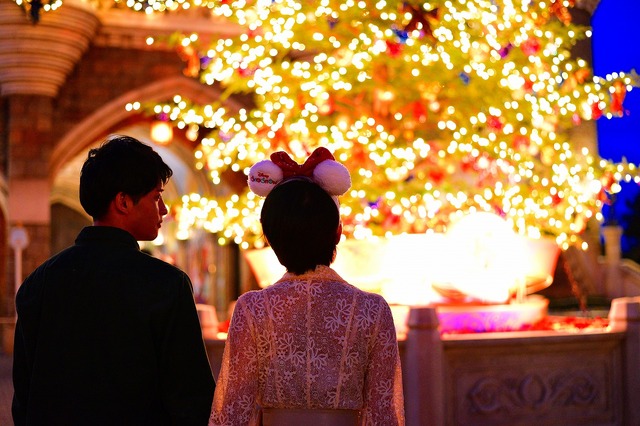 TDLで話題の生木のクリスマスツリー☆(C) Disney