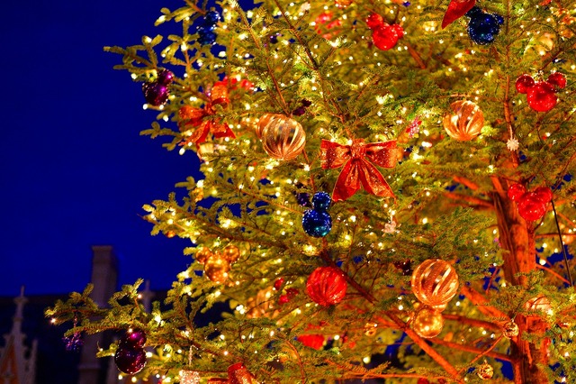 ディズニー 生木のツリーに心温まる 35周年のランドのクリスマス Cinemacafe Net