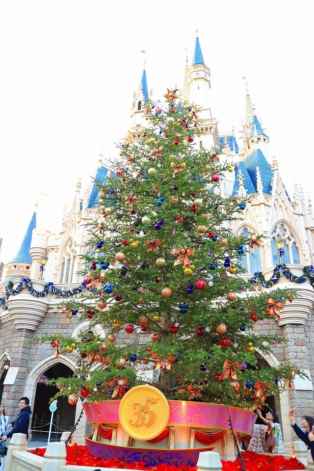 TDLで話題の生木のクリスマスツリー☆(C) Disney