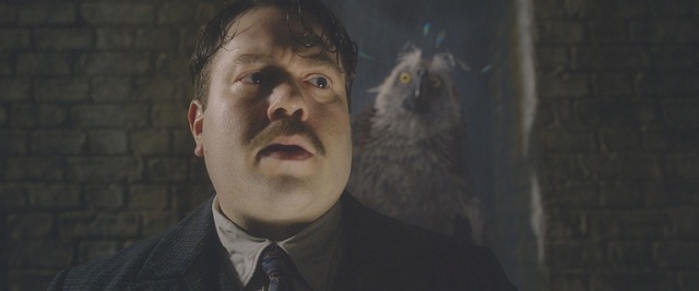 『ファンタスティック・ビーストと黒い魔法使いの誕生』(C)2018 Warner Bros. Ent. All Rights Reserved.Harry Potter and Fantastic Beasts Publishing Rights (C)J.K.R.