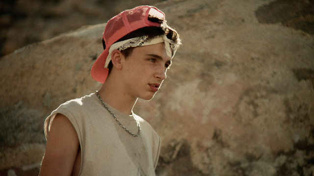 『サイン・スピナー』