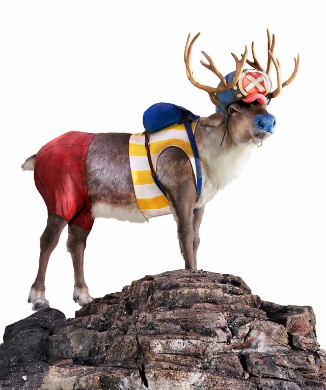 新CM「麦わらの一味募集『キャンペーン中』」篇、「麦わらの一味募集『条件』」篇