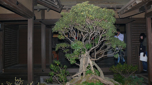 NHK大河ドラマ「平清盛」現場レポート