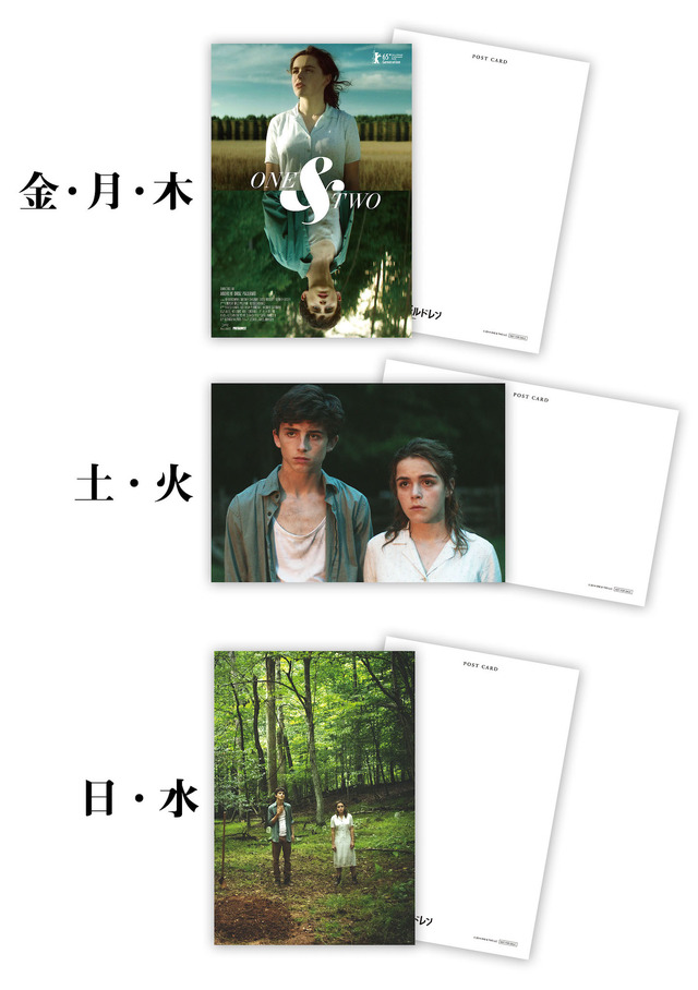 『シークレット・チルドレン　禁じられた力』日替わりシャラメポストカード　（C）2014 ONE & TWO LLC