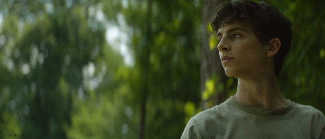 『シークレット・チルドレン　禁じられた力』　（C）2014 ONE & TWO LLC