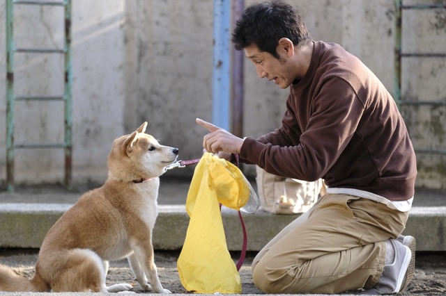 第2話「柴公園」（C）2019「柴公園」製作委員会