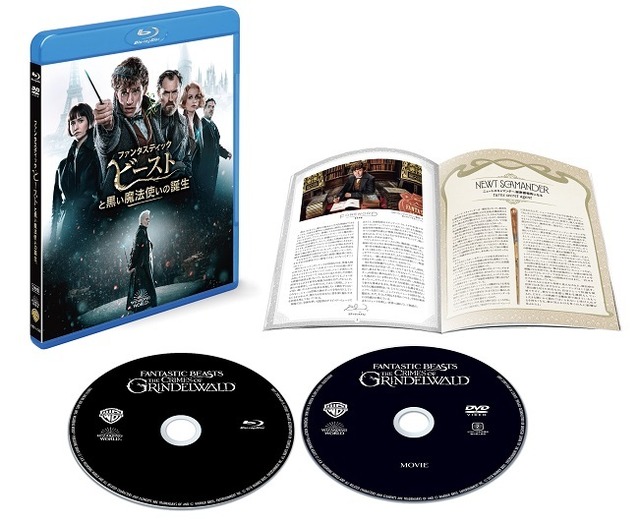 『ファンタスティック・ビーストと黒い魔法使いの誕生』ブルーレイ＆DVDセット　WIZARDING WORLD and all related characters and elements are trademarks of and (c) Warner Bros. Entertainment Inc. Wizarding World(TM) Publishing Rights (c) J.K. Rowling. (c) 2018 Warner Bros. Entertainment Inc. All rights reserved.