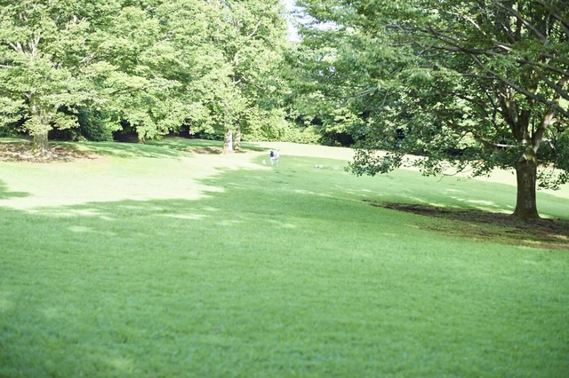 夜空と交差する森の映画祭2019開催地