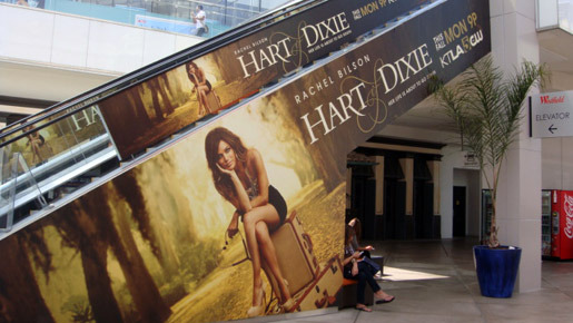 「Hart of Dixie」ポスター　photo：Hikaru Watanabe