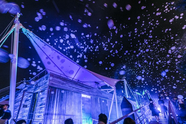 「海の幽霊」MV海の上映会（C）2019 五十嵐大介・小学館／「海獣の子供」製作委員会