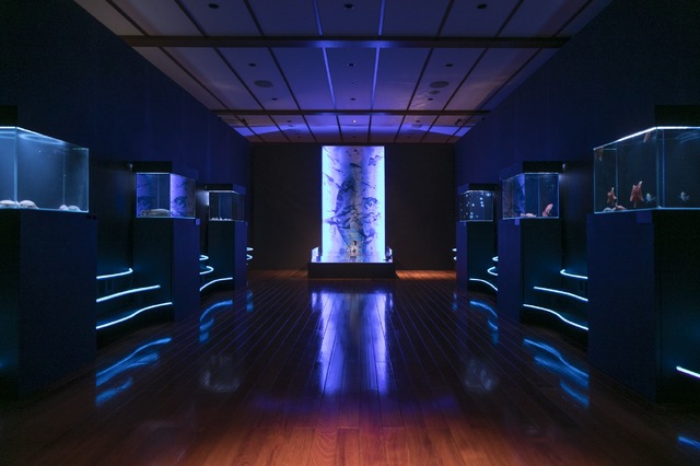 「海の幽霊」MV海の上映会（C）2019 五十嵐大介・小学館／「海獣の子供」製作委員会