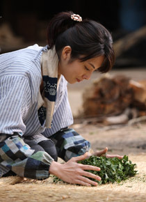 『種まく旅人〜みのりの茶〜』 -(C) 『種まく旅人〜みのりの茶〜』製作委員会
