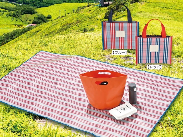 レジャーシート(1500mm×900mm)バッグ付き400円