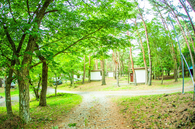 「富士　湖畔の映画祭」昨年の様子