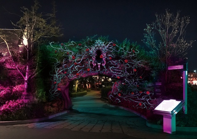 画像提供：ユニバーサル・スタジオ・ジャパン