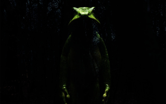 『ドリーミング村上春樹』　（C）Final Cut for Real