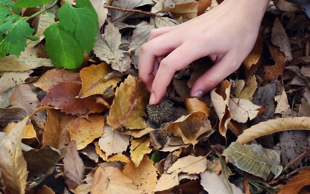 『愛の小さな歴史　誰でもない恋人たちの風景vol.1』（C）2019キングレコード株式会社