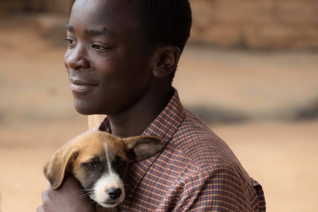 『風をつかまえた少年』（C）2018 BOY WHO LTD / BRITISH BROADCASTING CORPORATION / THE BRITISH FILM INSTITUTE / PARTICIPANT MEDIA, LLC