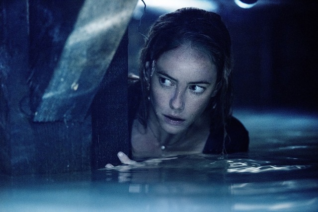 『クロール ―凶暴領域―』(C) 2019 Paramount Pictures Corporation. All rights reserved.