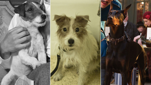 注目される名犬たち（左から）『アーティスト』アギー、『人生はビギナーズ』コスモ、『ヒューゴの不思議な発明』ブラッキー　-(C) La Petite Reine - Studio 37 - La Classe Americaine - JD Prod - France 3 Cinema - Jouror Productions - uFilm　-(C) 2010 Beginners Movie, LLC. All Rights Reserved. -(C) 2011 Paramount Pictures C