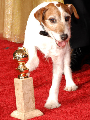 本年度ゴールデン・グローブ賞授賞式に出席したアギー　-(C) Photoshot/AFLO