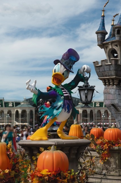 Dハロ系TDLデコレーション写真30連発☆