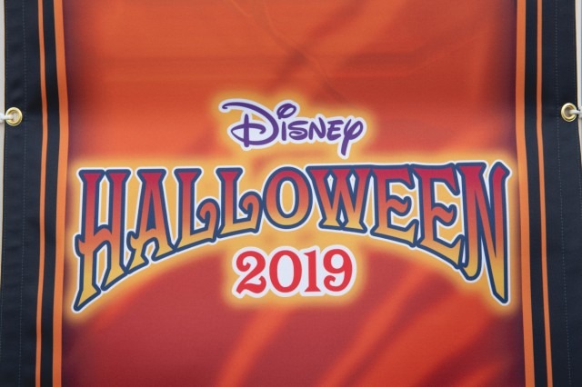 Dハロ系TDLデコレーション写真30連発☆