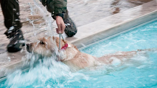 『LOVE　まさお君が行く！』  -(C) 2012「LOVE　まさお君が行く！」製作委員会