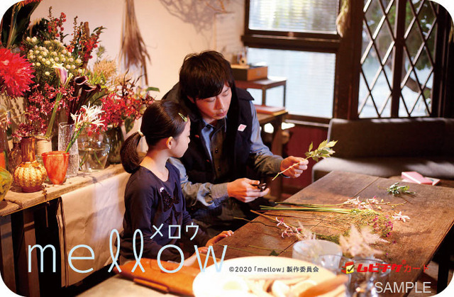 ムビチケカード『mellow』（C）2020「mellow」製作委員会