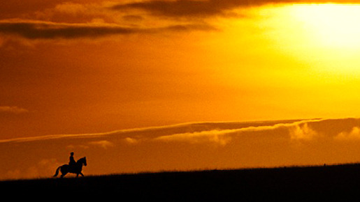『戦火の馬』スティーヴン・スピルバーグ