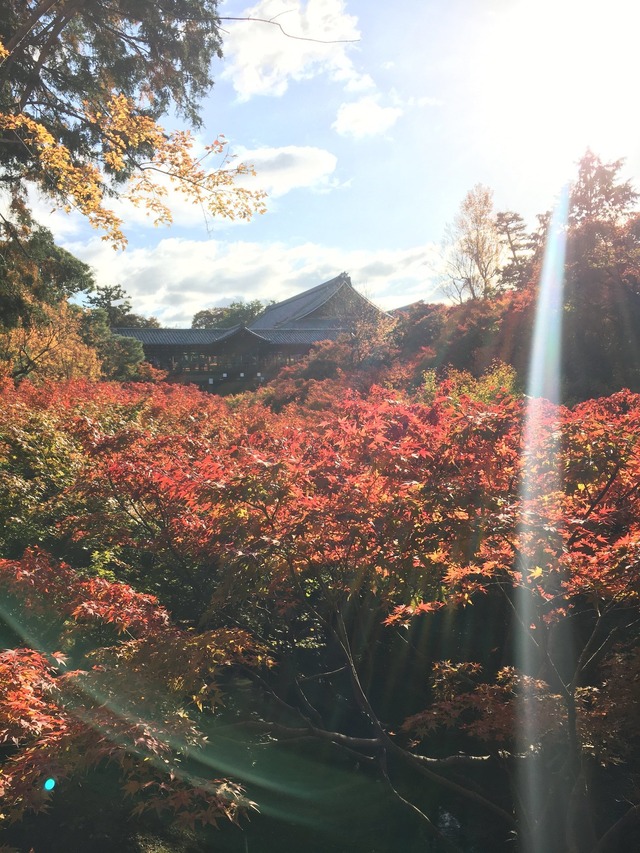京都・東福寺にて