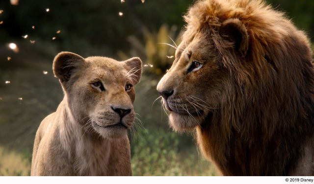 『ライオン・キング』MovieNEX（C） 2019 Disney