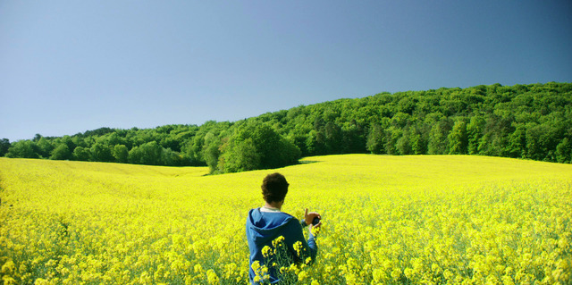 『菜の花畑で引きつけられて』(c)apachesfilms5