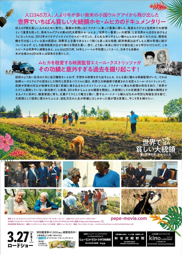 『世界でいちばん貧しい大統領　愛と闘争の男、ホセ・ムヒカ』(C) CAPITAL INTELECTUAL S.A, RASTA INTERNATIONAL, MOE