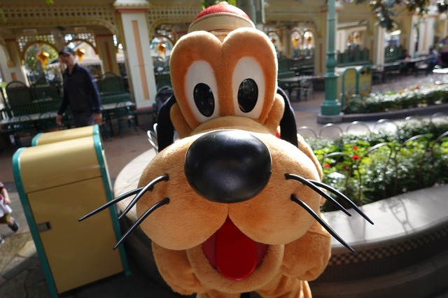 例年以上に大人気となっている米ディズニーの旧正月！As to Disney artwork, logos and properties： (C) Disney