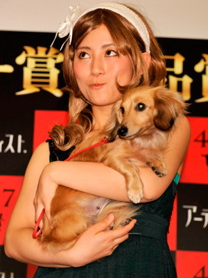 『アーティスト』愛犬家試写会に登壇した福田彩乃