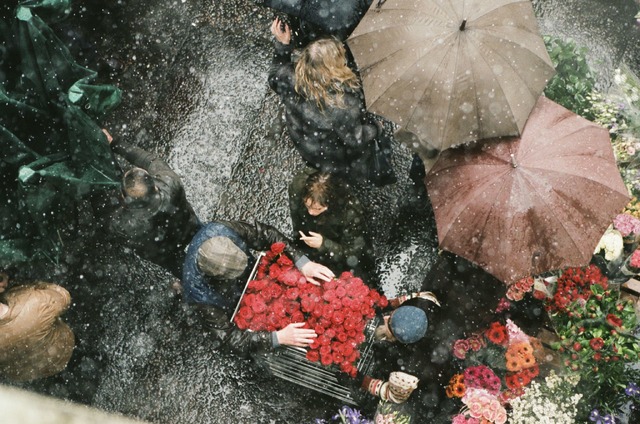 『ジョン・F・ドノヴァンの死と生』　（C）THE DEATH AND LIFE OF JOHN F. DONOVAN INC., UK DONOVAN LTD.