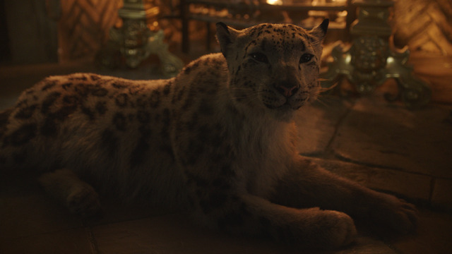 「ダーク・マテリアルズ／黄金の羅針盤」　（C）2019 Home Box Office, Inc. All Rights Reserved. HBO（R） and related channels and service marks are the property of Home Box Office, Inc.