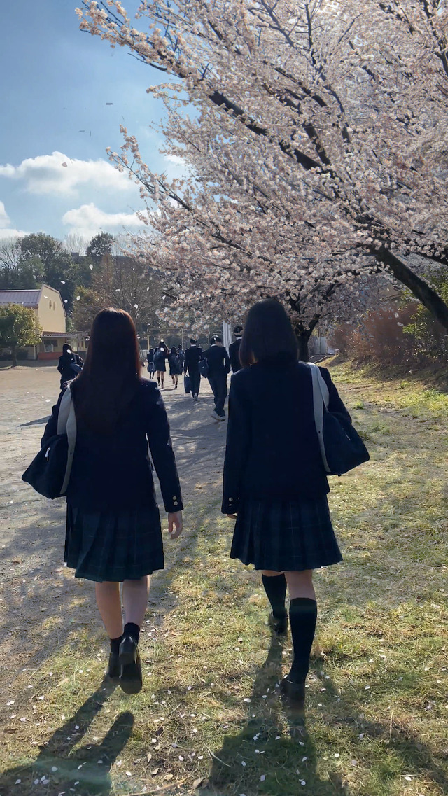 新Web動画「カンナとミナミの卒業」