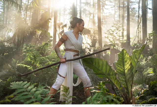 『スター・ウォーズ/スカイウォーカーの夜明け』 (C)2020 & TM Lucasfilm Ltd.