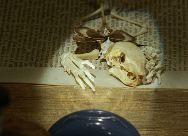 『ファウスト』 (C) 1994 Athanor, Heart of Europe Prague K Production, Lumen Films, BBC Bristol.