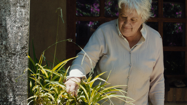 『世界でいちばん貧しい大統領　愛と闘争の男、ホセ・ムヒカ』（C）CAPITAL INTELECTUAL S.A.