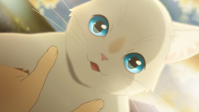 Netflixアニメ映画『泣きたい私は猫をかぶる』 （C） 2020 「泣きたい私は猫をかぶる」製作委員会